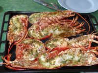 Lobster-klein